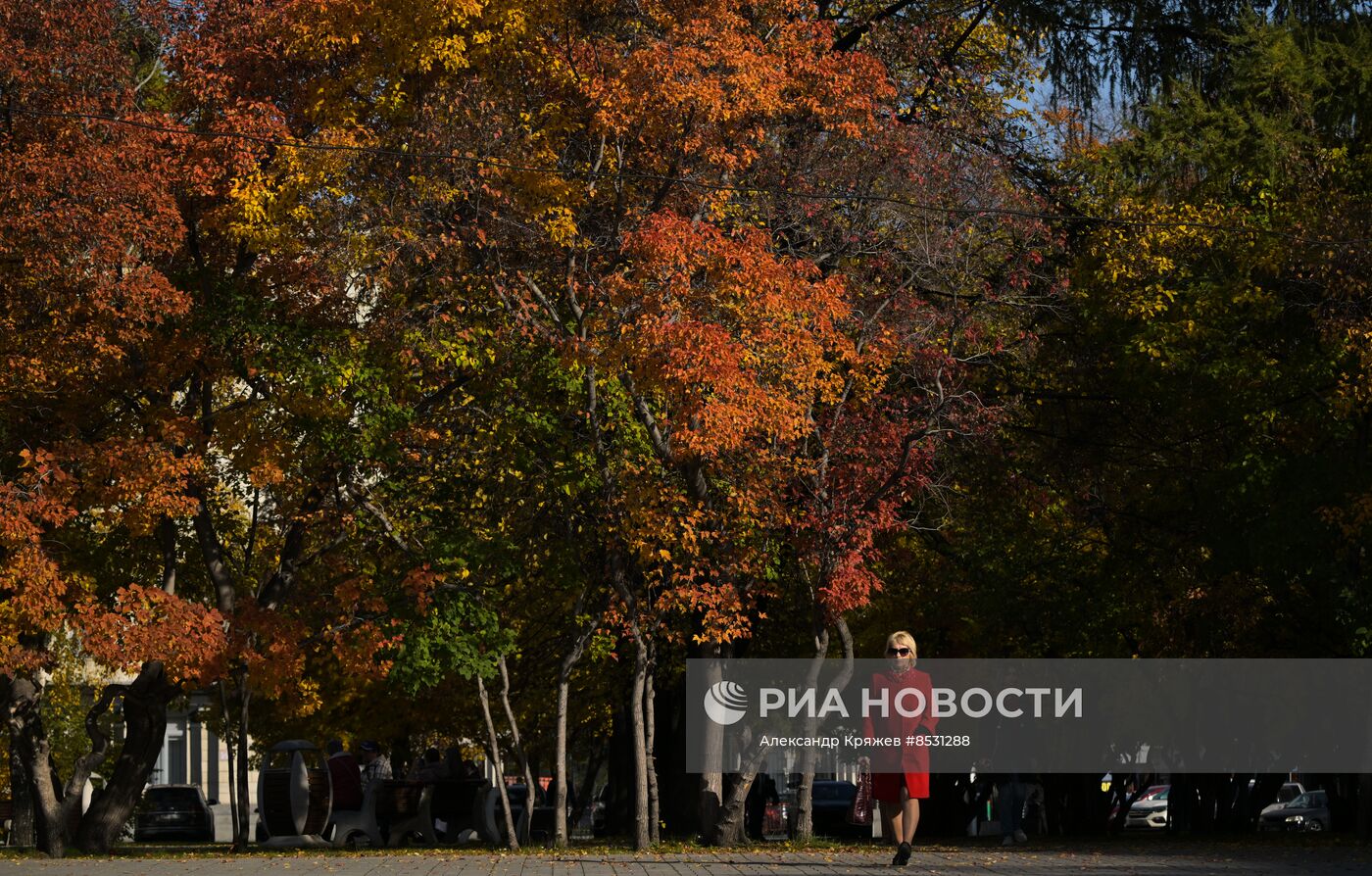 Осень в Новосибирске