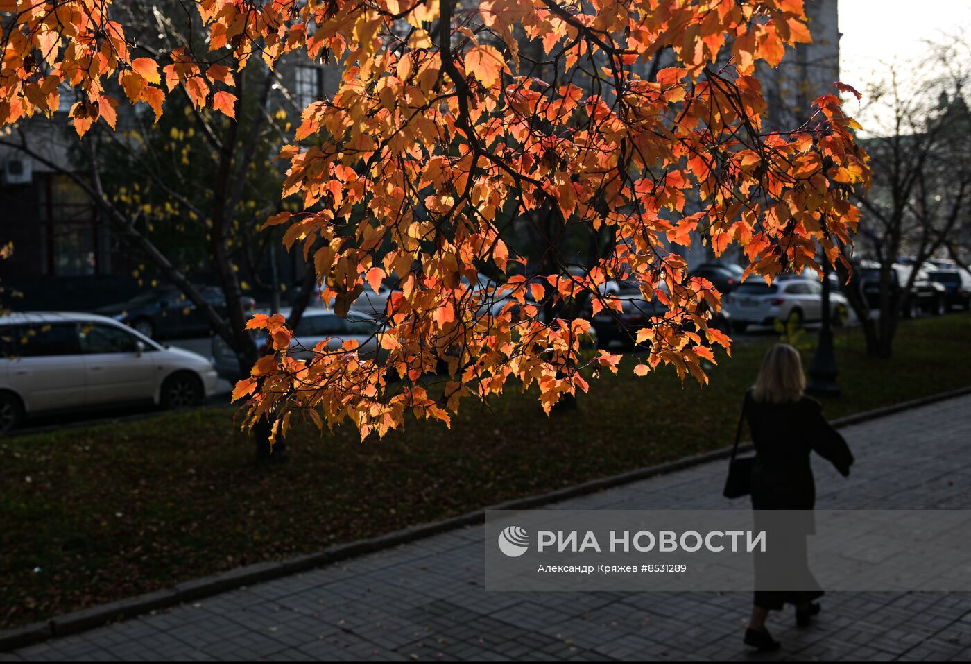 Осень в Новосибирске