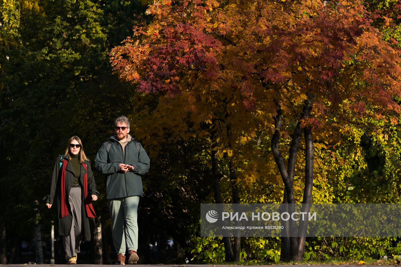 Осень в Новосибирске