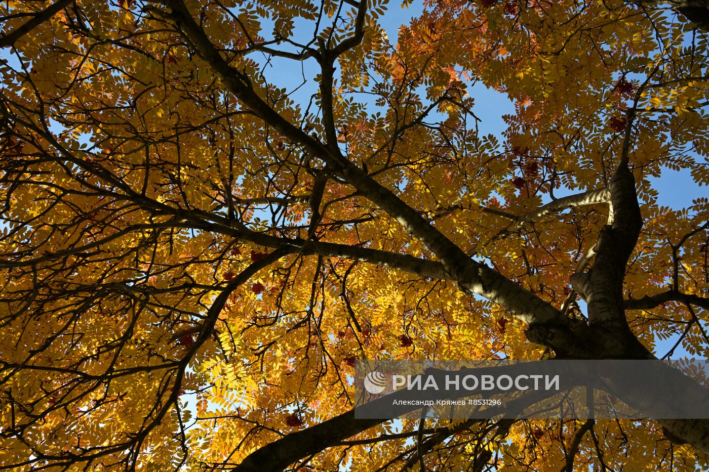 Осень в Новосибирске