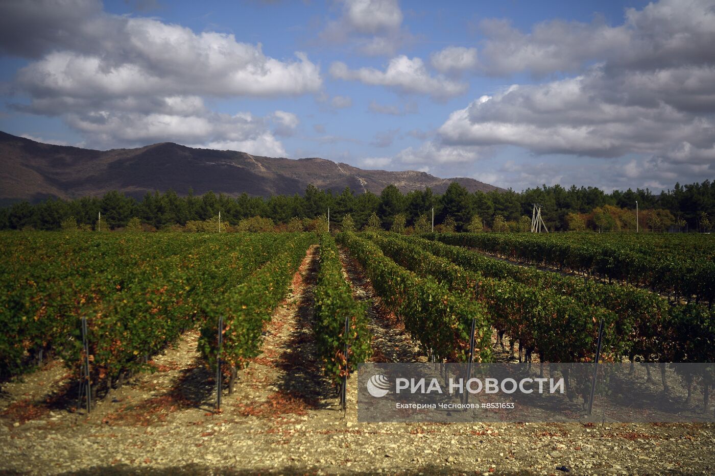 Регионы России. Краснодарский край