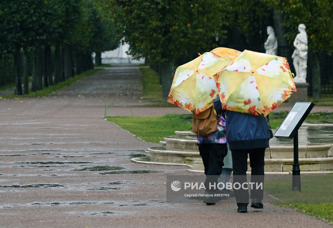 Ненастная погода в Москве