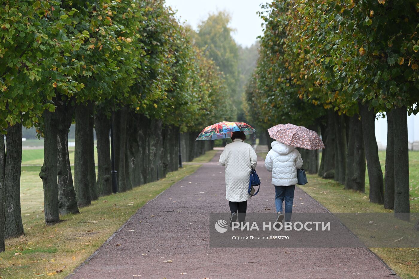 Ненастная погода в Москве