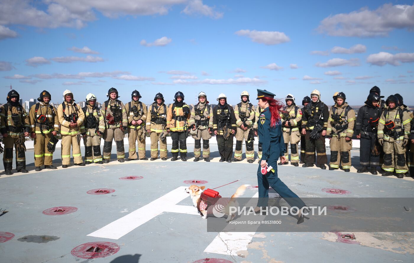 Соревнования "Высота 102" в Волгограде