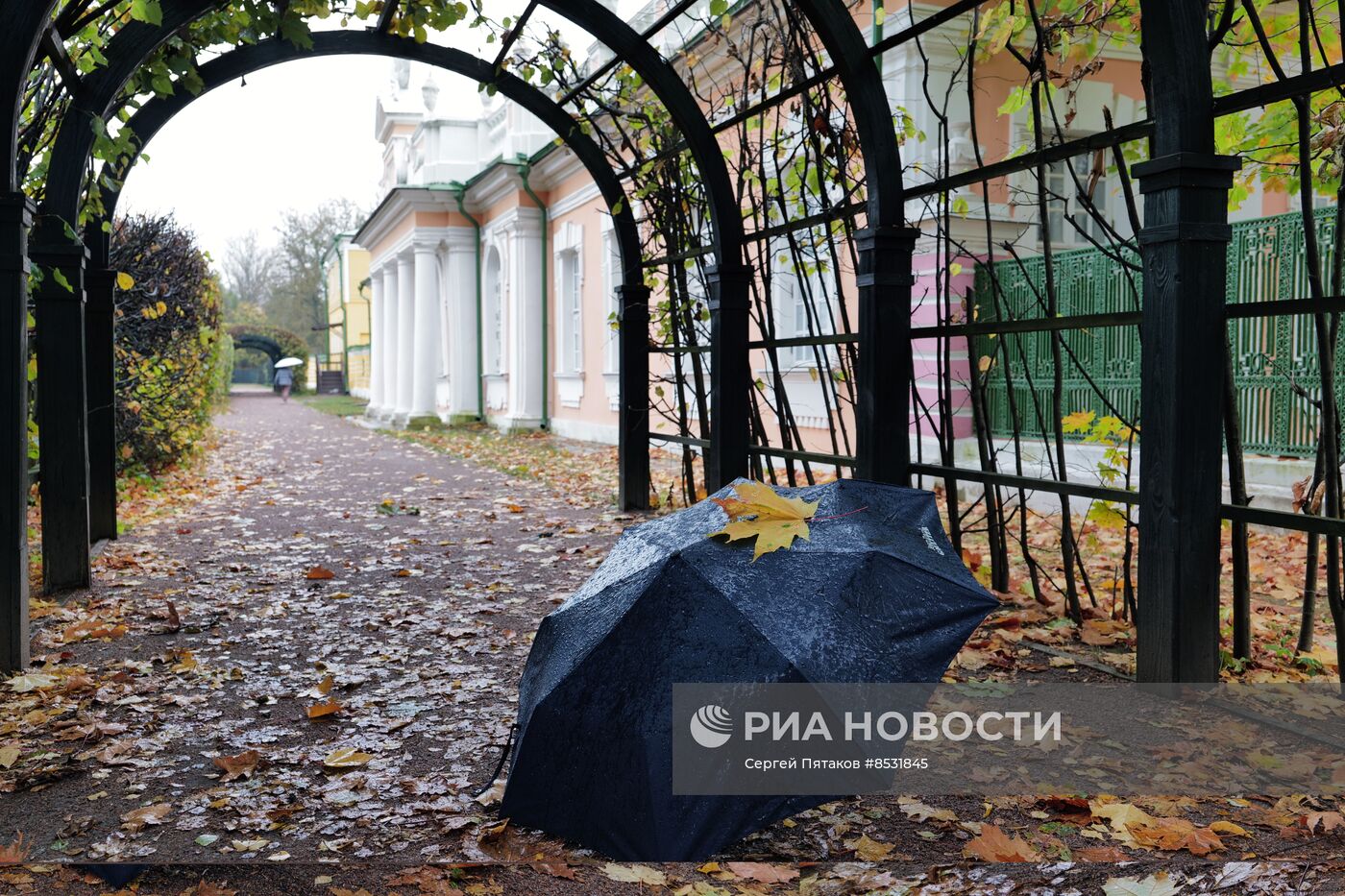 Ненастная погода в Москве