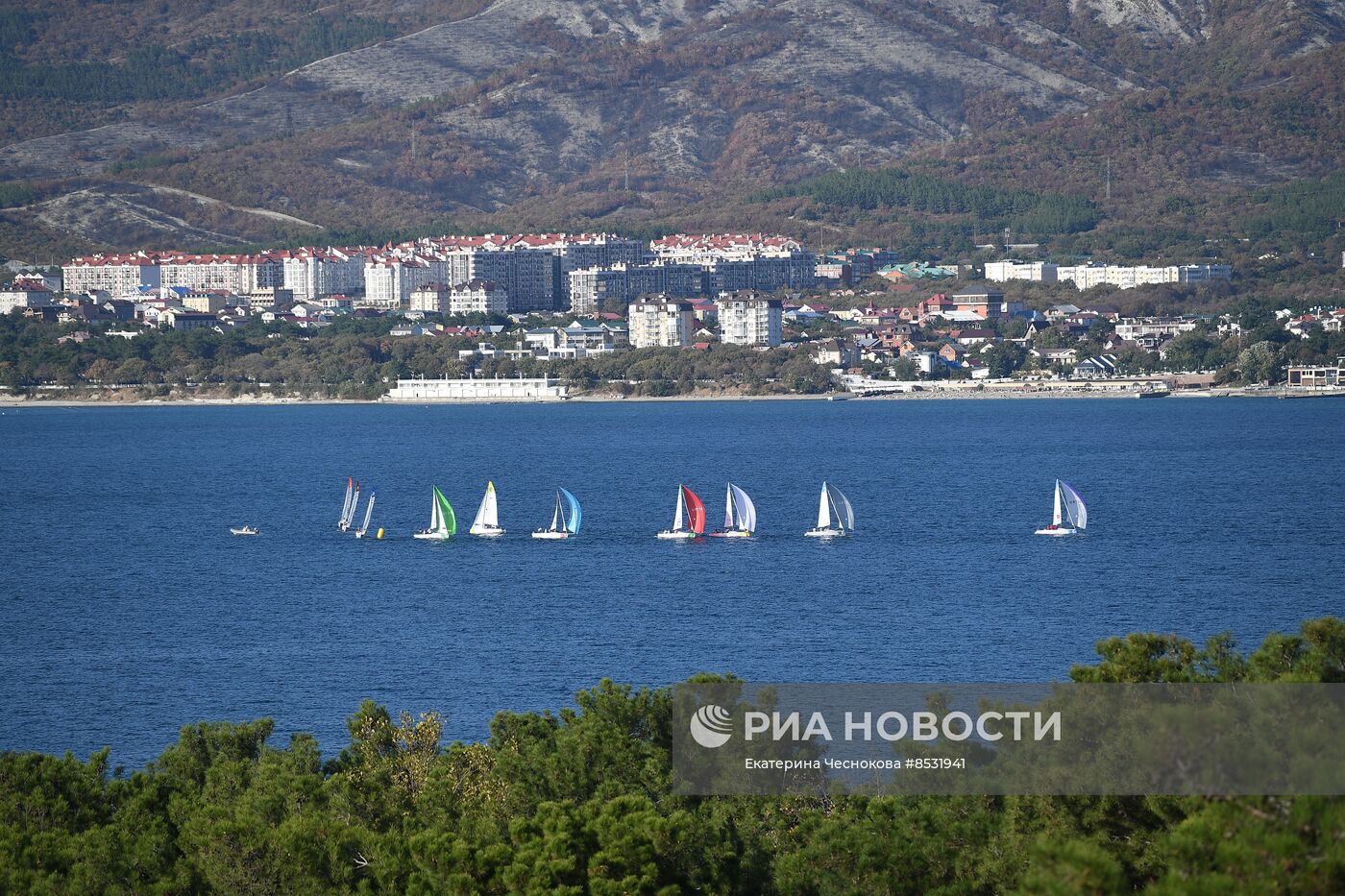 Регионы России. Краснодарский край