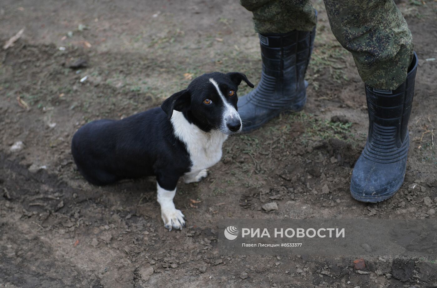 Подготовка мотострелковых подразделений к зимнему периоду в Запорожской области