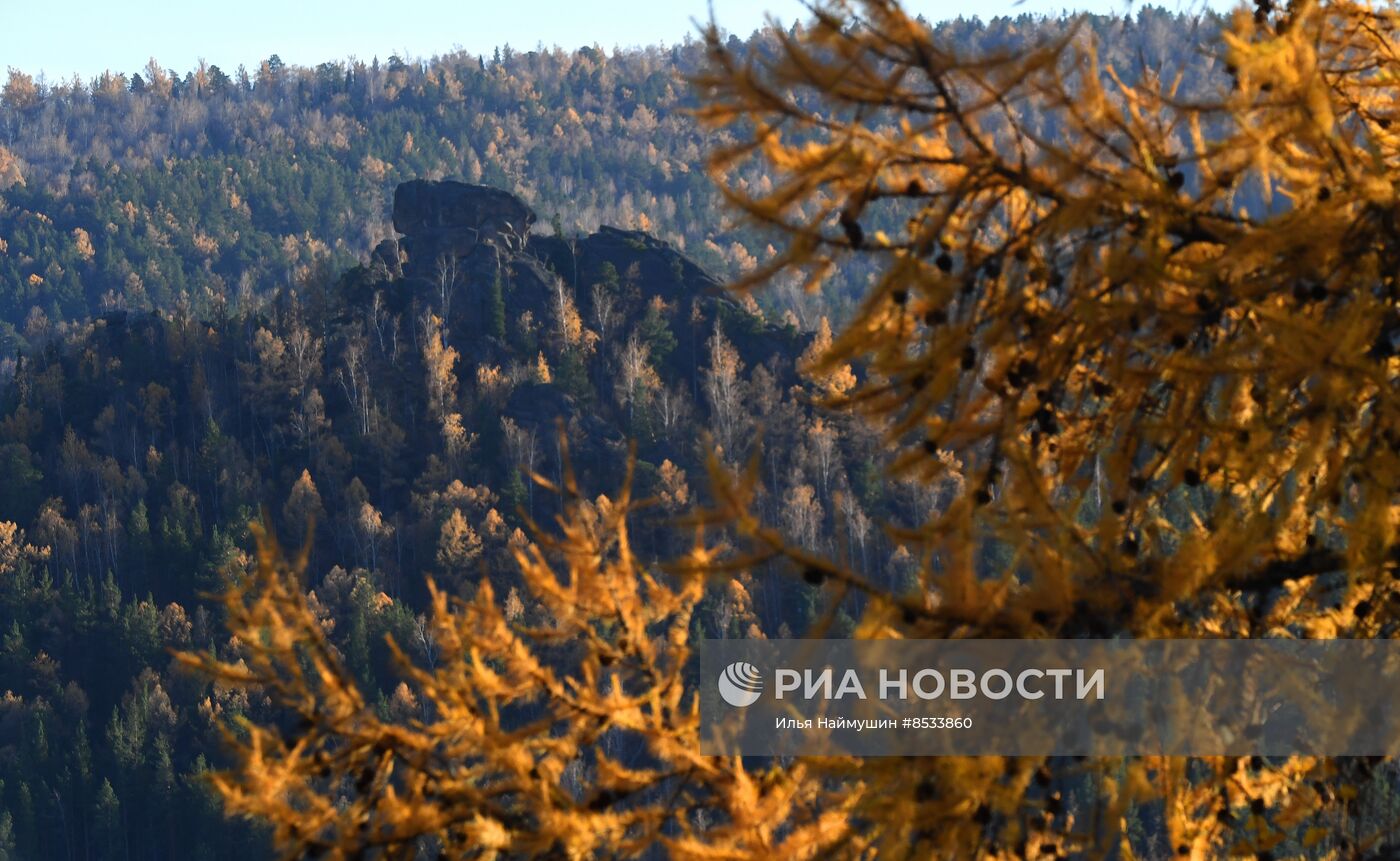 Золотая осень в Красноярском крае