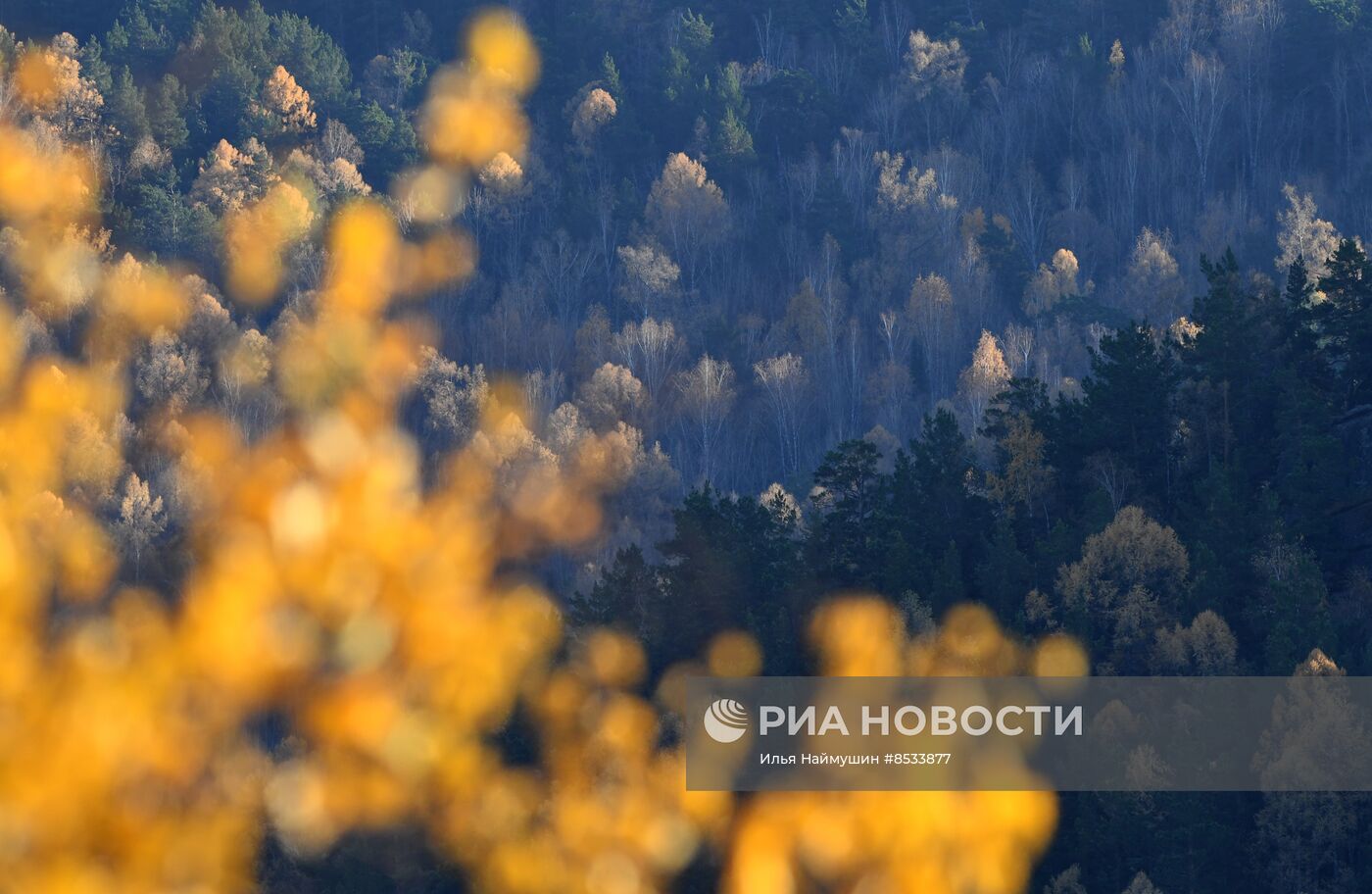 Золотая осень в Красноярском крае