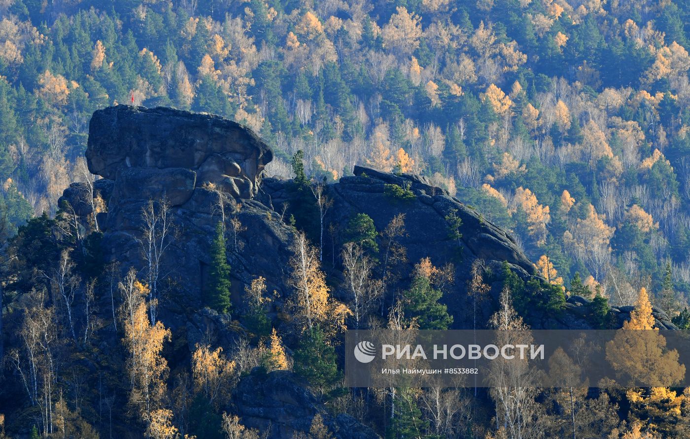 Золотая осень в Красноярском крае