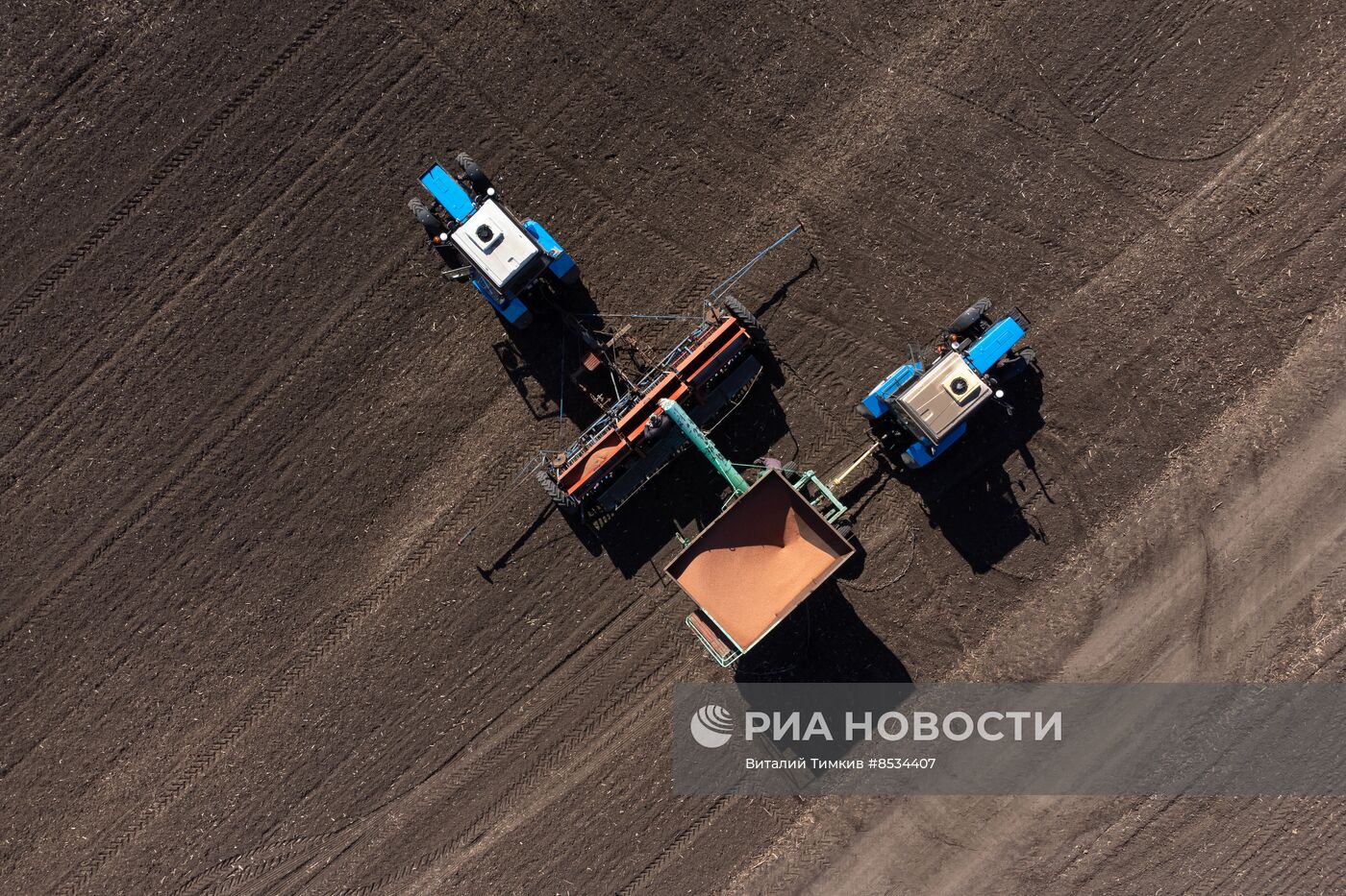 Старт посевной озимой пшеницы в Краснодарском крае