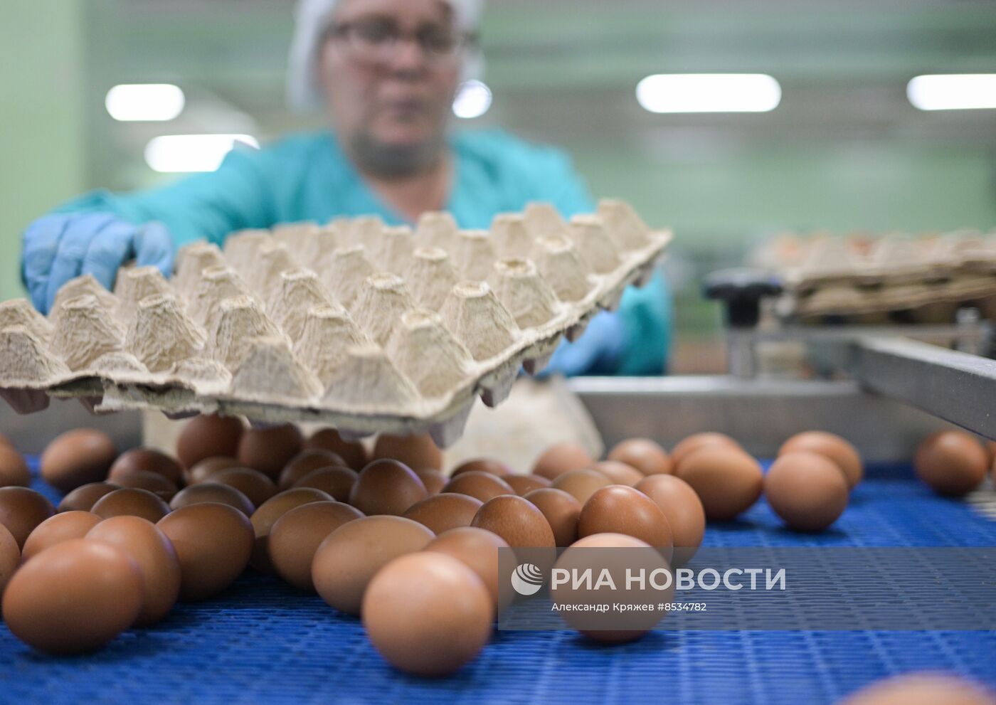 Производство куриных яиц в Новосибирской области