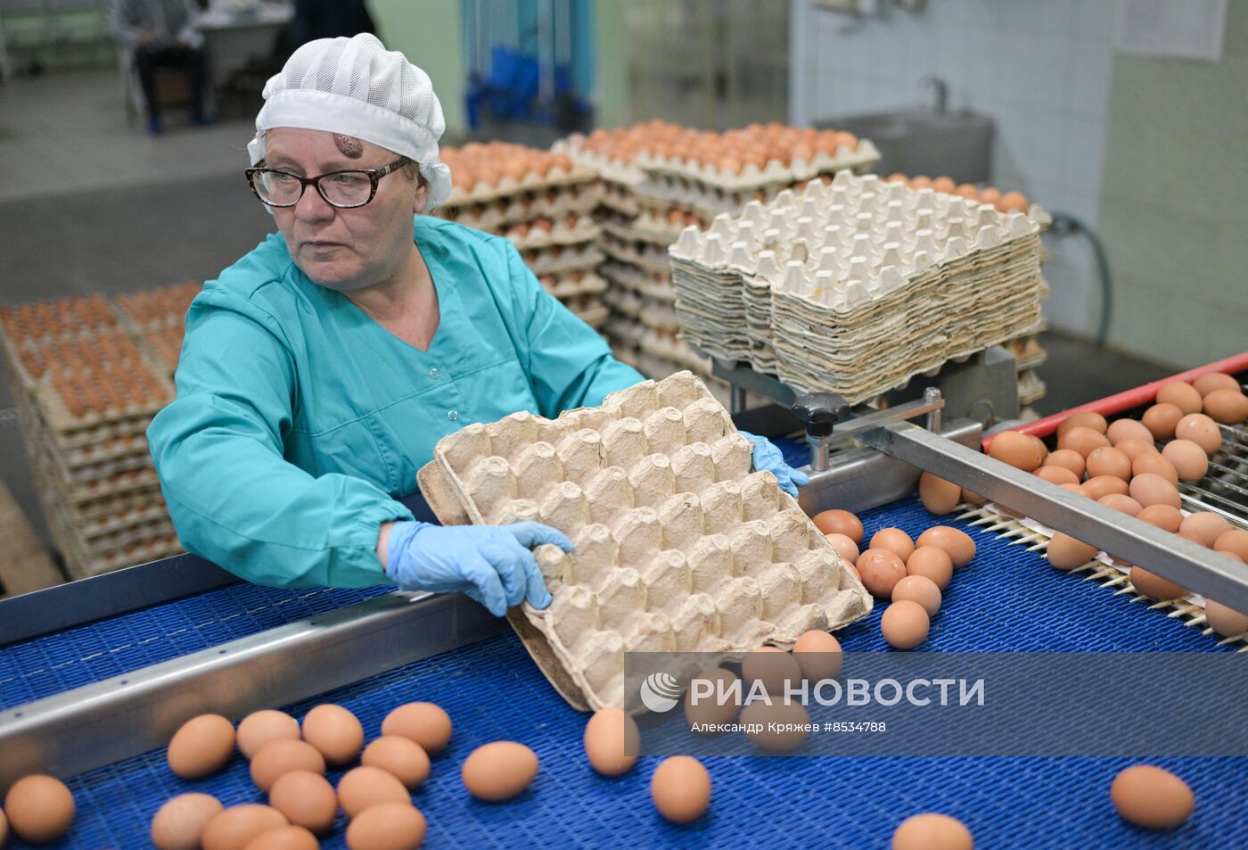 Производство куриных яиц в Новосибирской области