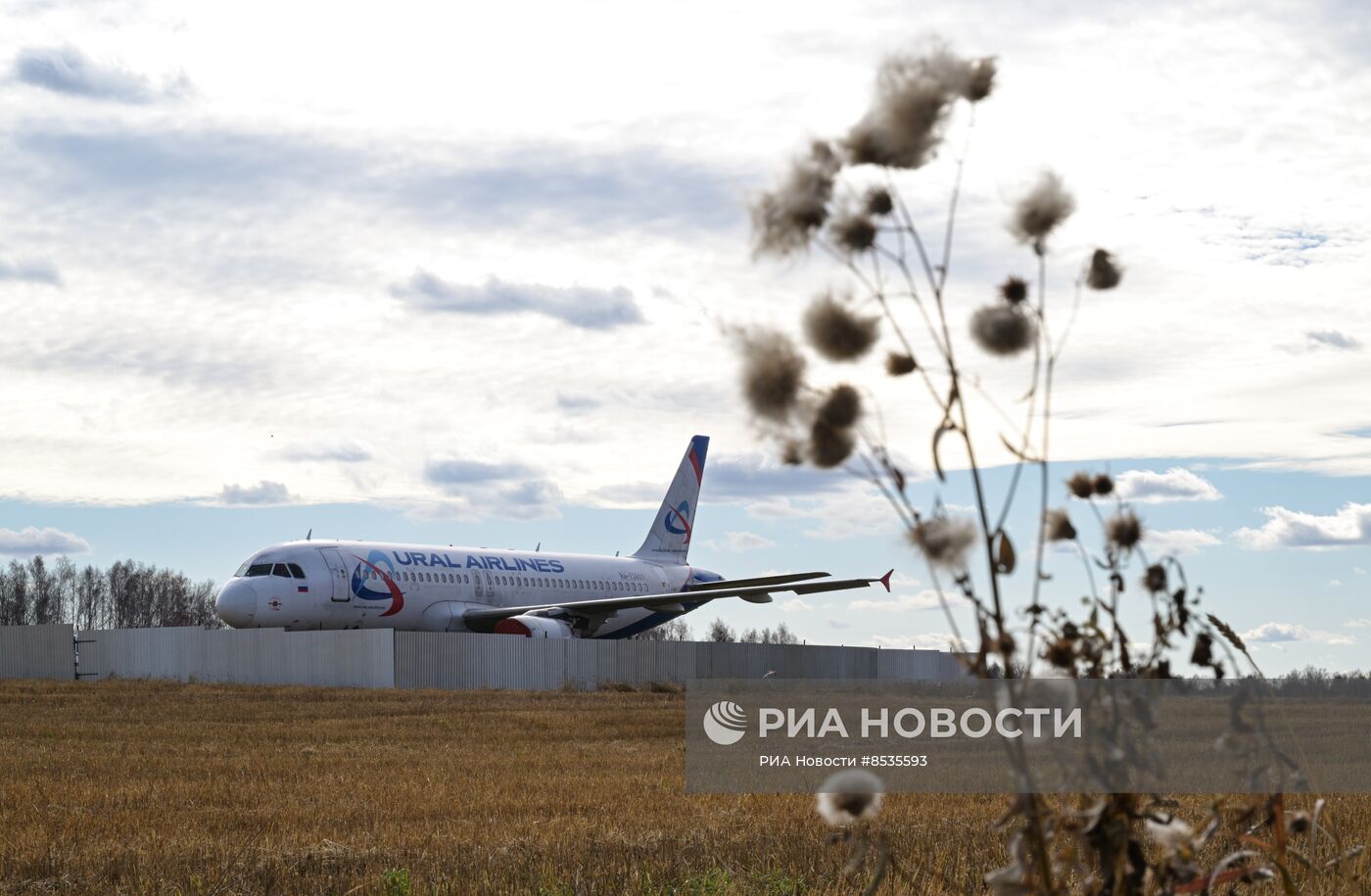 Самолёт "Уральских авиалиний" в поле в Новосибирской области