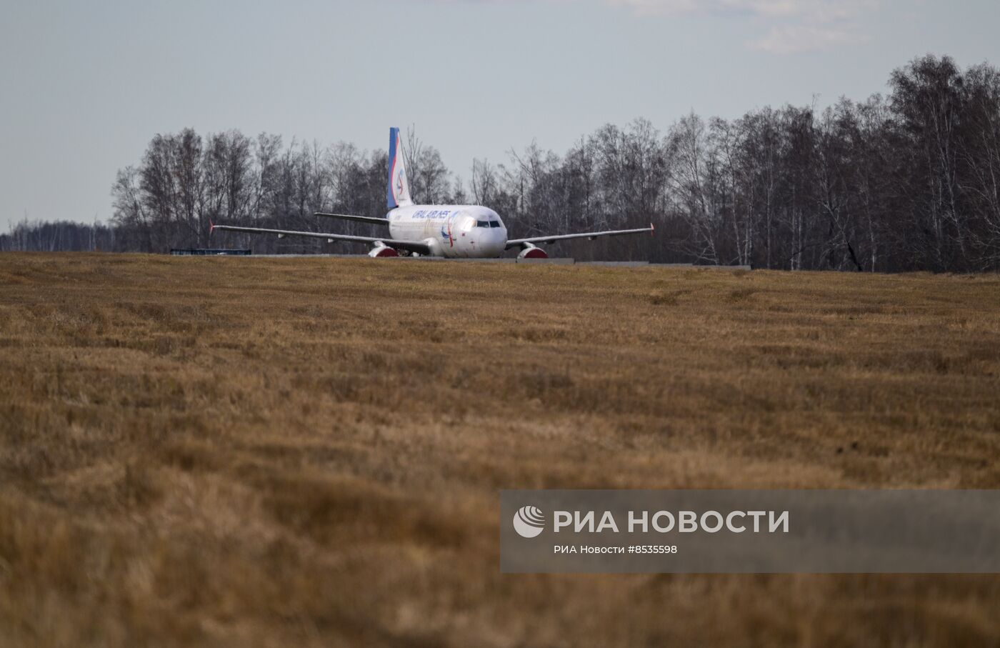 Самолёт "Уральских авиалиний" в поле в Новосибирской области