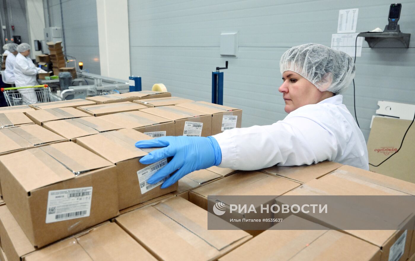 Производство молочной продукции на заводе Viola в Подмосковье