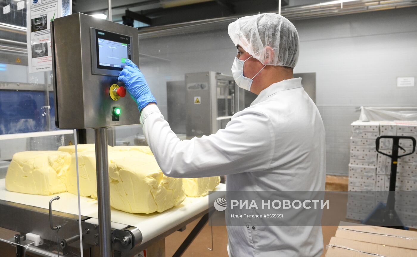 Производство молочной продукции на заводе Viola в Подмосковье