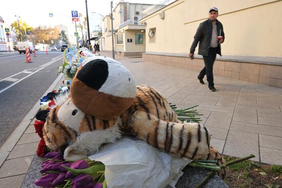 Цветы в память о погибших в результате палестино-израильского конфликта