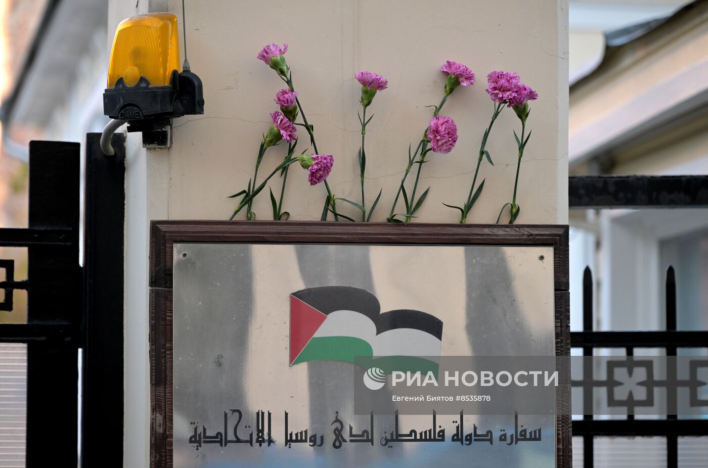 Цветы в память о погибших в результате палестино-израильского конфликта