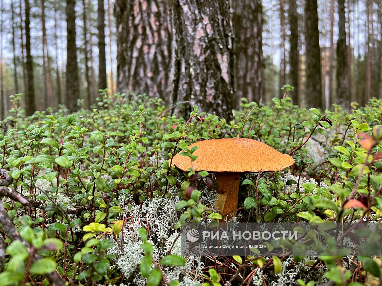 #ОткрываяРоссию. Архангельск 