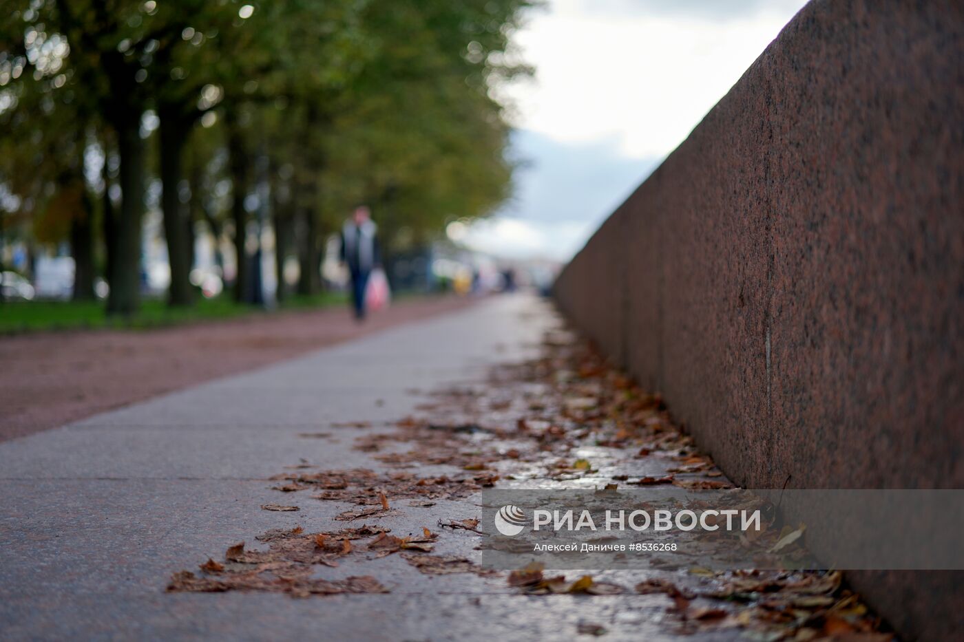 Погода в Санкт-Петербурге