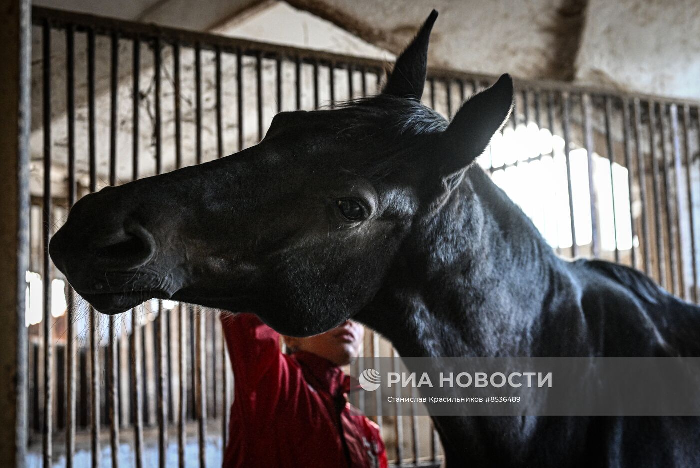 Спортивная школа по конному спорту в Луганске