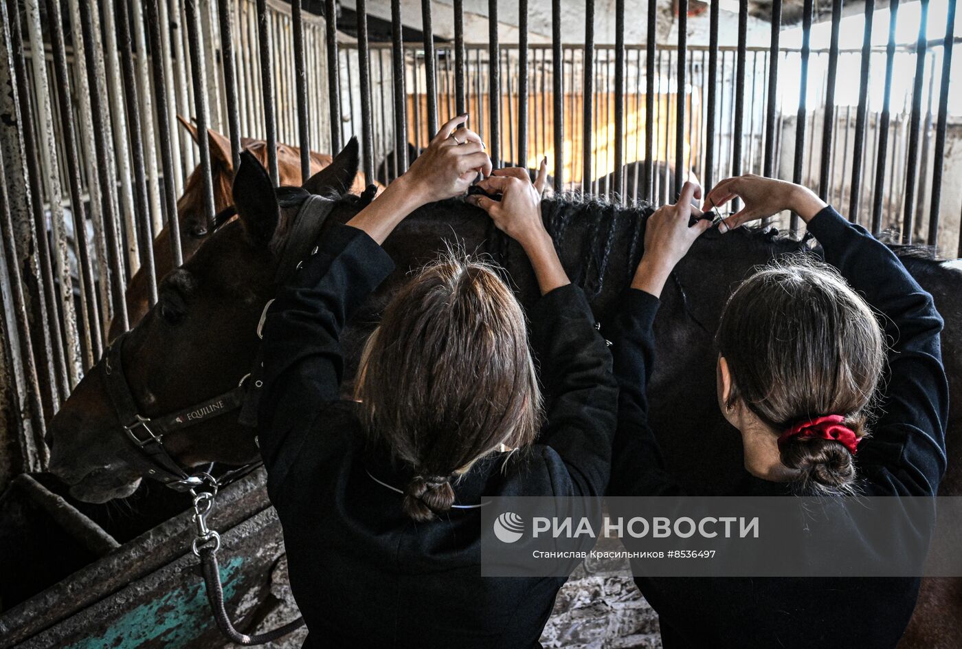 Спортивная школа по конному спорту в Луганске