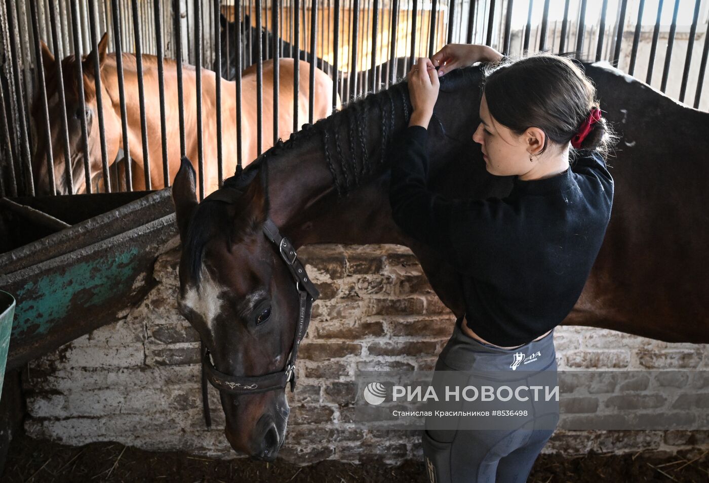 Спортивная школа по конному спорту в Луганске