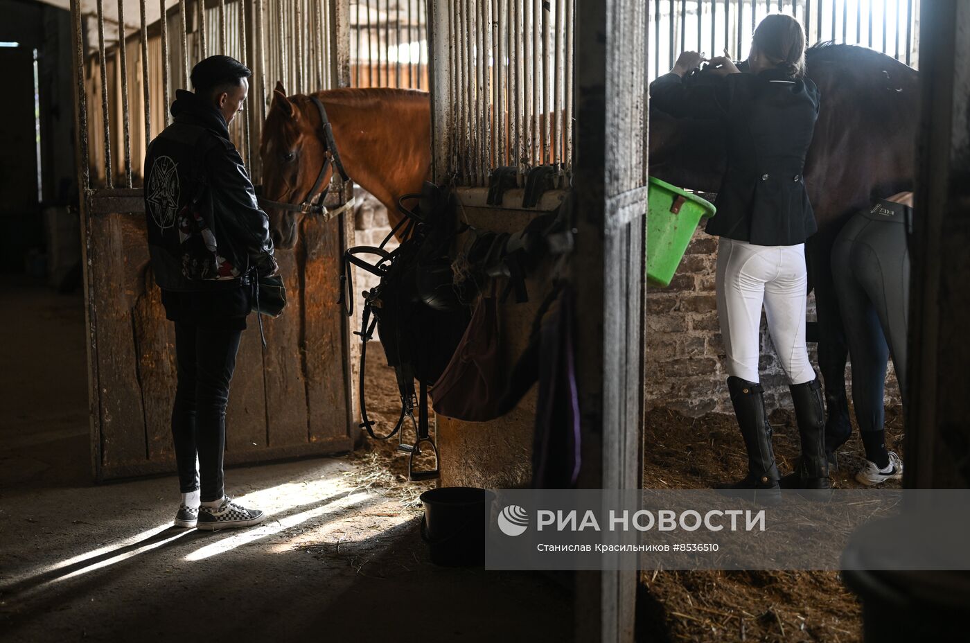 Спортивная школа по конному спорту в Луганске