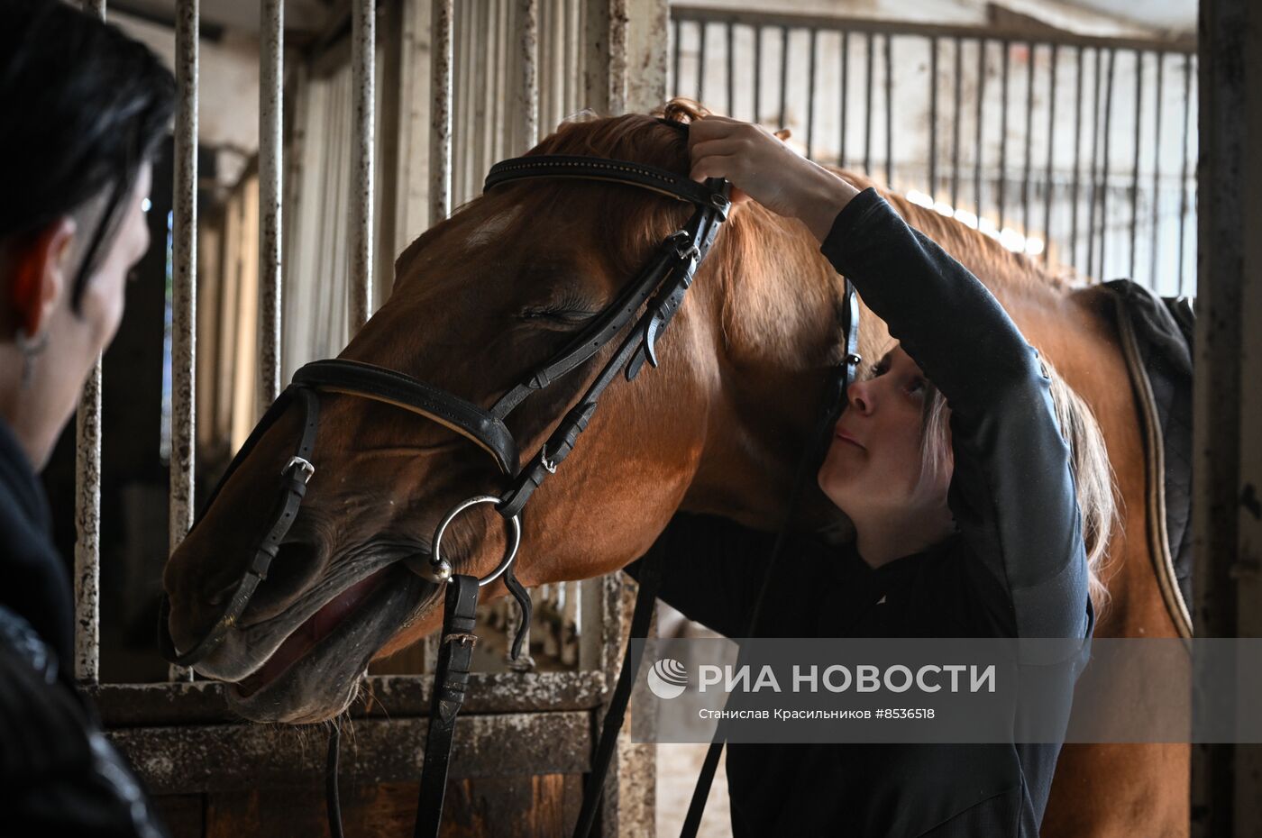 Спортивная школа по конному спорту в Луганске