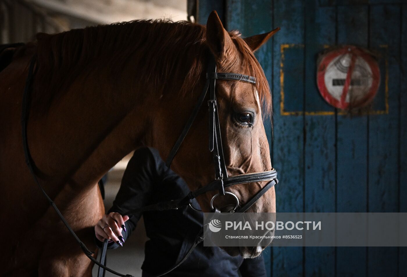 Спортивная школа по конному спорту в Луганске