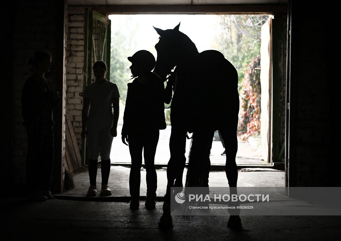 Спортивная школа по конному спорту в Луганске