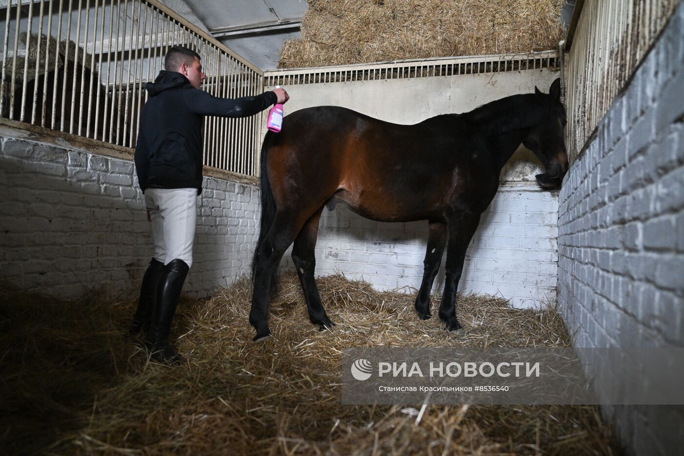 Спортивная школа по конному спорту в Луганске