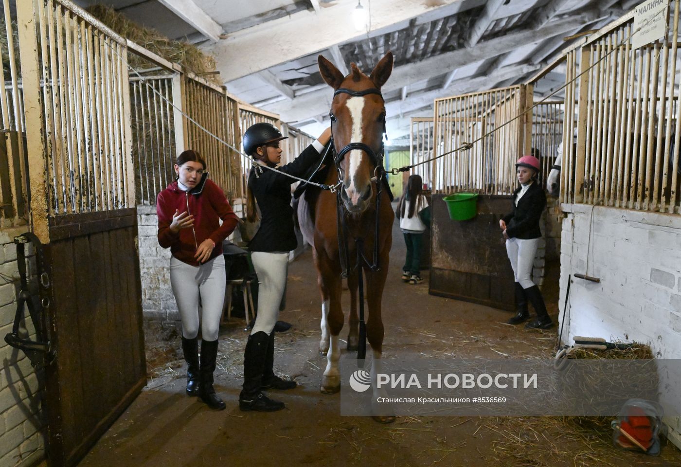 Спортивная школа по конному спорту в Луганске