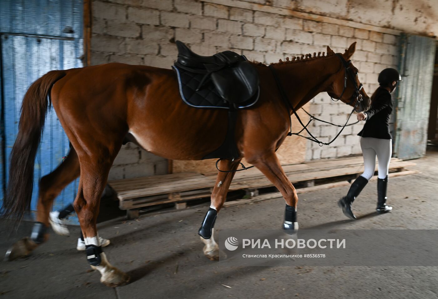 Спортивная школа по конному спорту в Луганске
