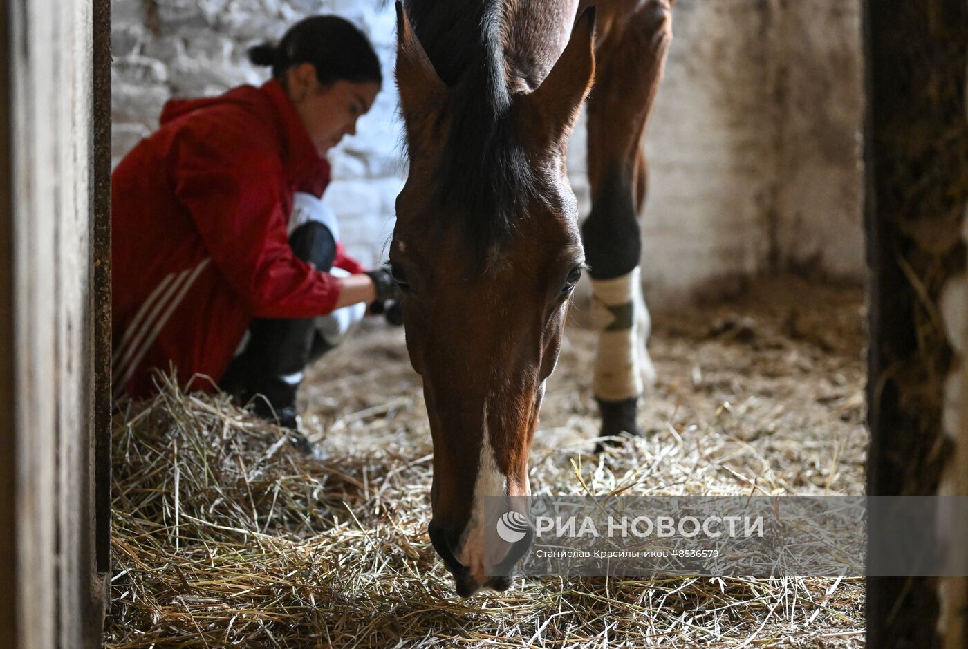Спортивная школа по конному спорту в Луганске