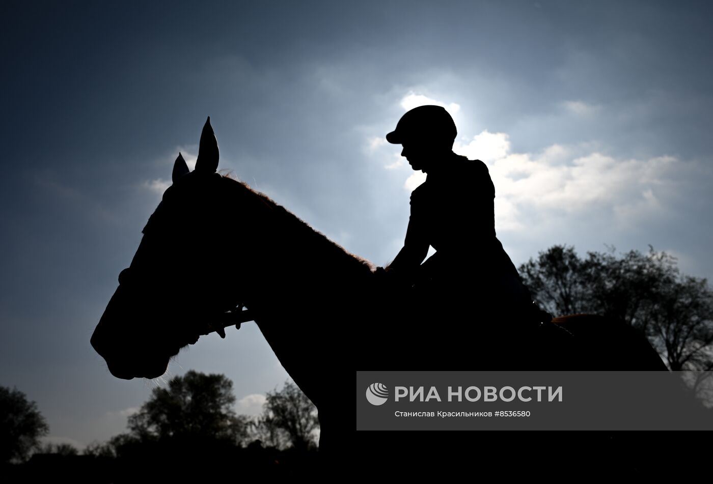 Спортивная школа по конному спорту в Луганске