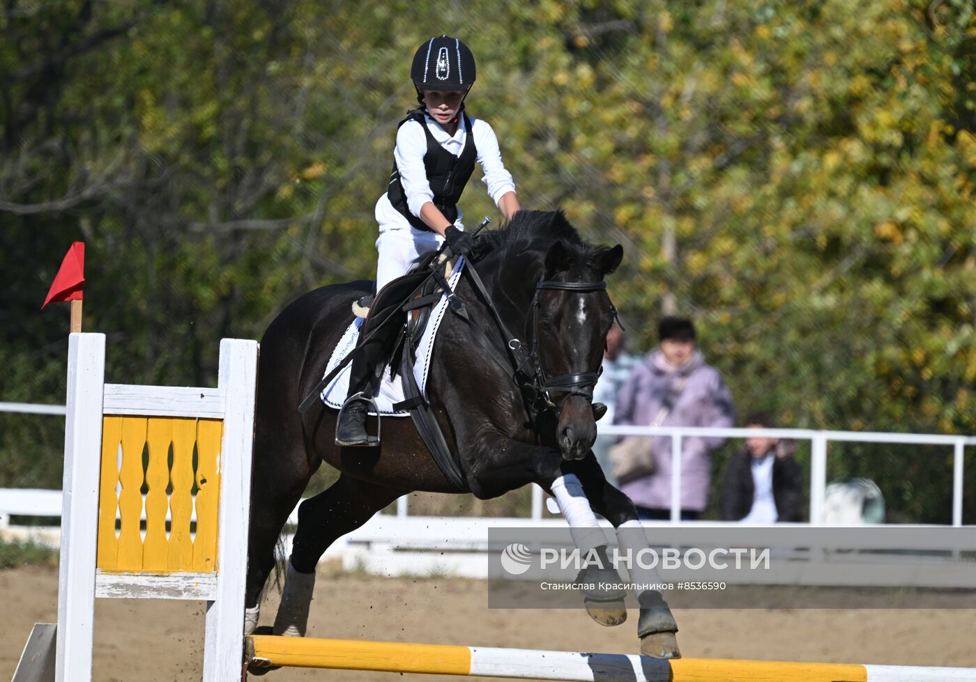 Спортивная школа по конному спорту в Луганске