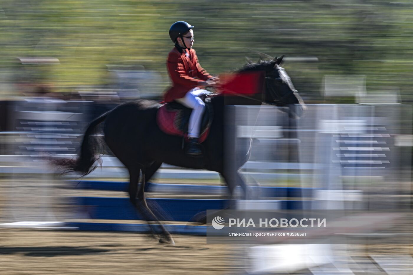 Спортивная школа по конному спорту в Луганске