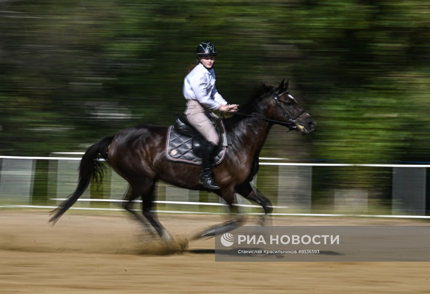 Спортивная школа по конному спорту в Луганске
