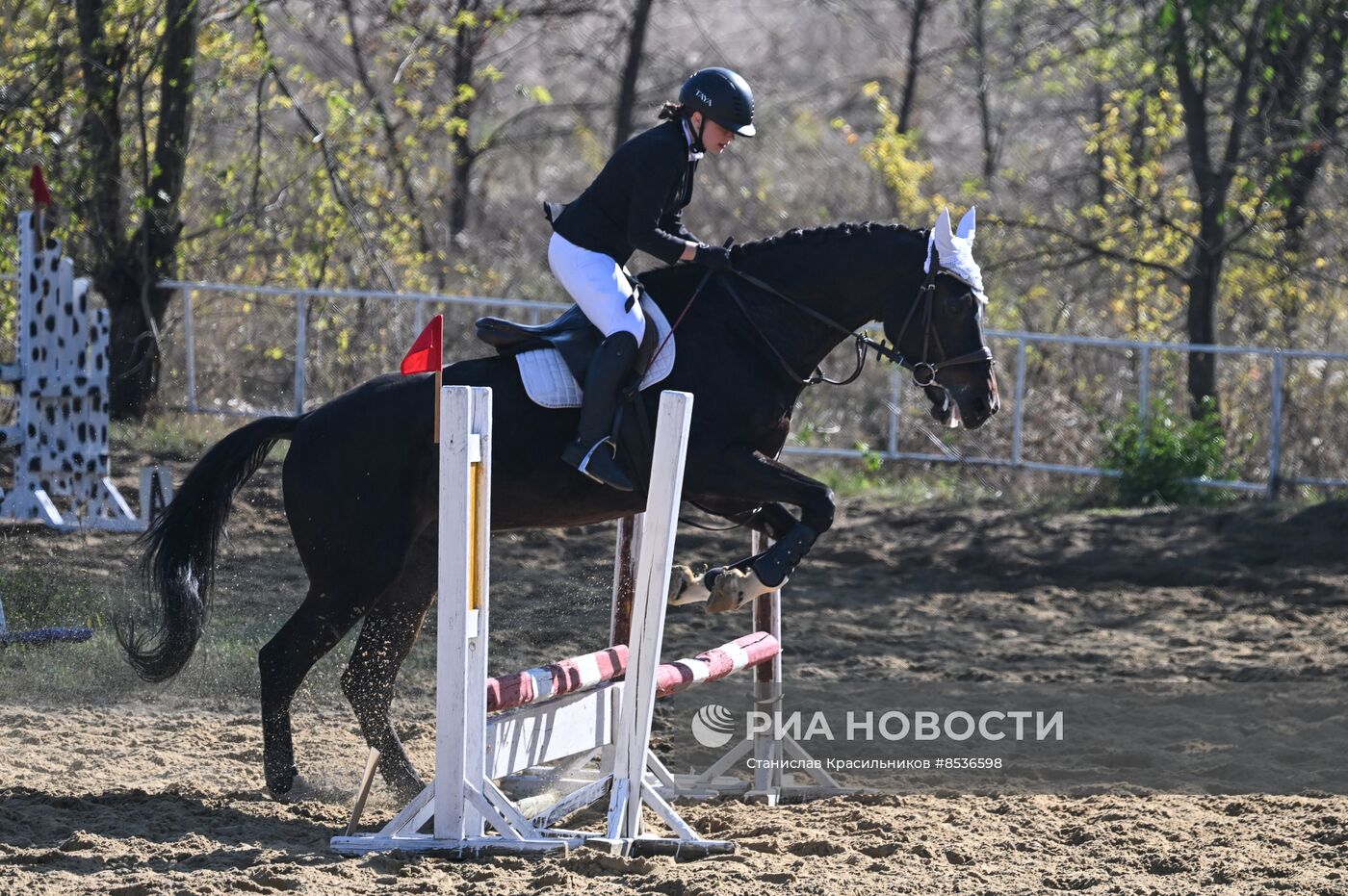 Спортивная школа по конному спорту в Луганске