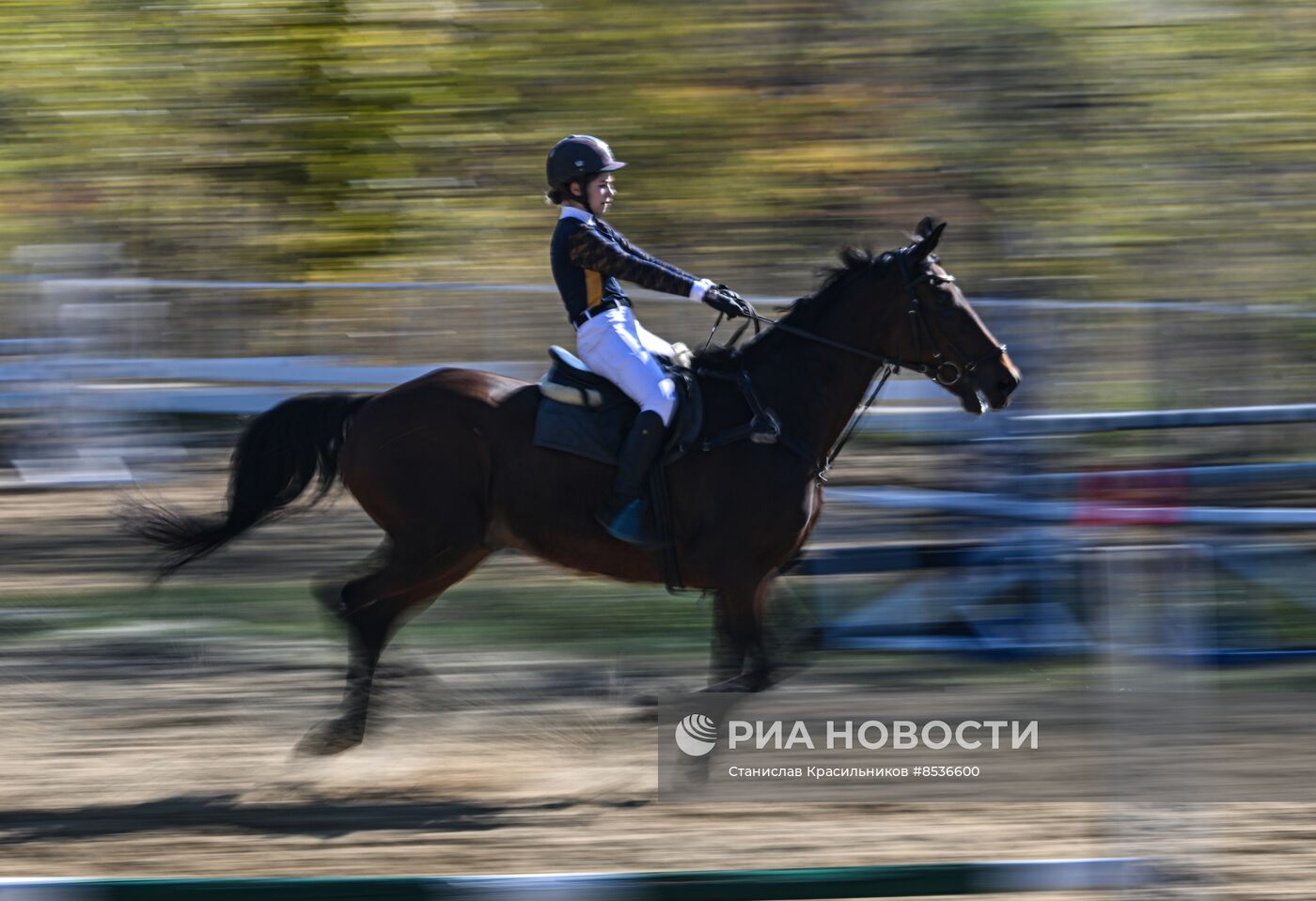 Спортивная школа по конному спорту в Луганске