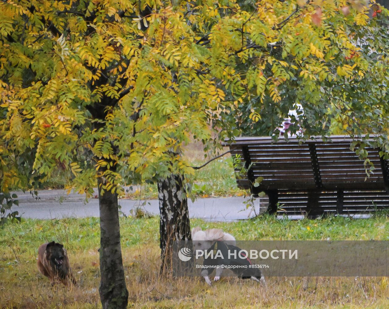 Повседневная жизнь в Москве