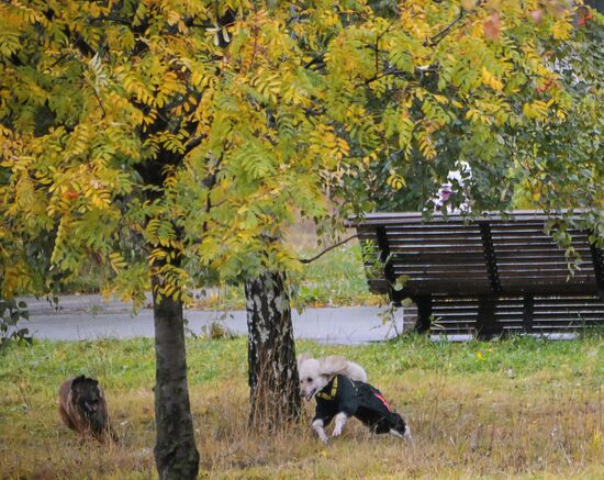 Повседневная жизнь в Москве