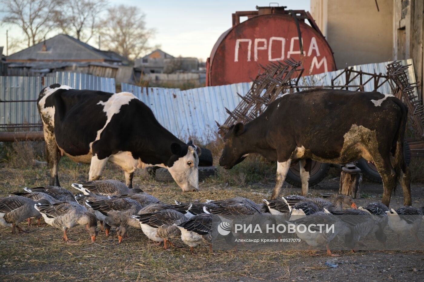 Сельская жизнь в Новосибирской области