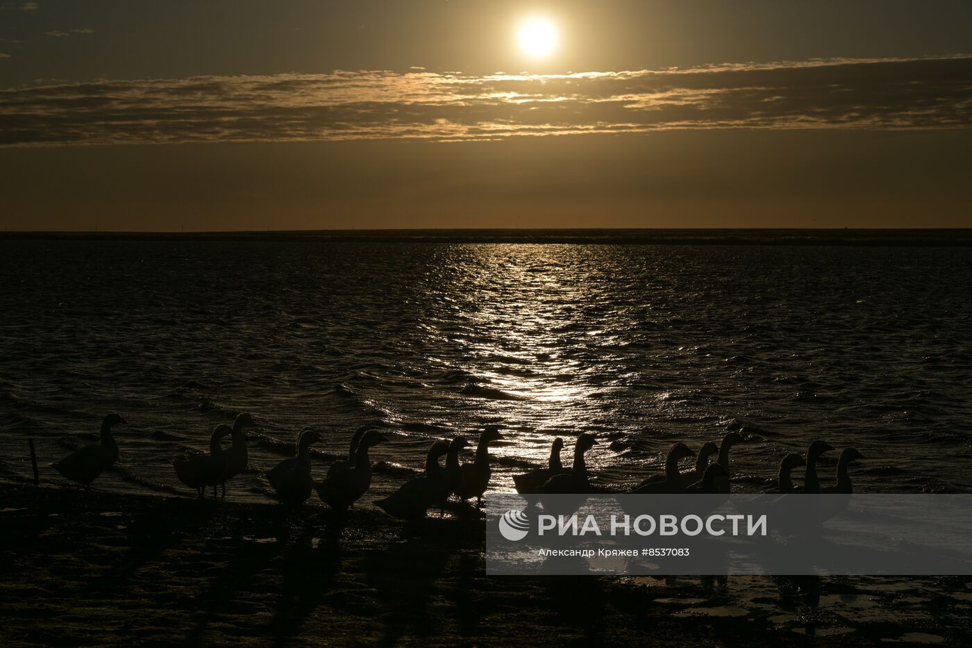 Сельская жизнь в Новосибирской области