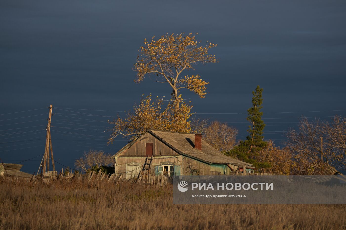 Сельская жизнь в Новосибирской области