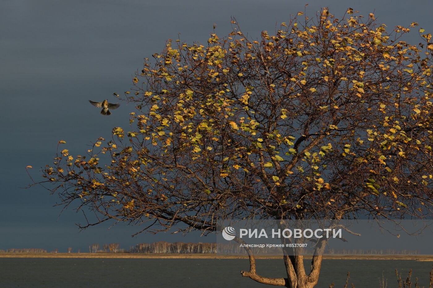 Сельская жизнь в Новосибирской области