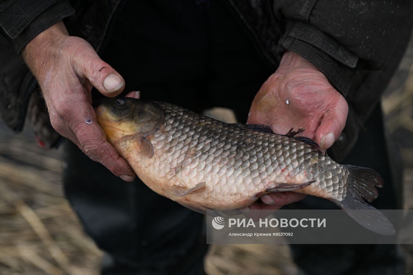 Сельская жизнь в Новосибирской области