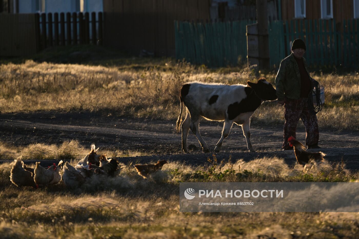 Сельская жизнь в Новосибирской области